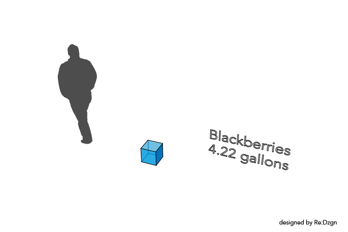 Blackberries