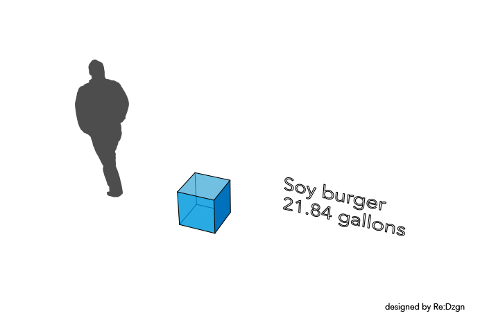 Soy burger